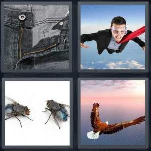 3-letters-answer-fly