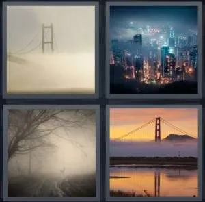 7-letters-answer-foggy