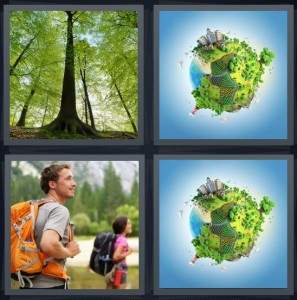 7-letters-answer-forest