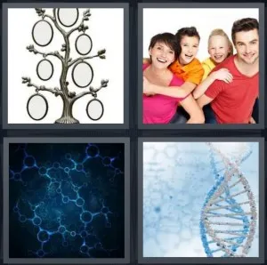 8-letters-answer-genetics