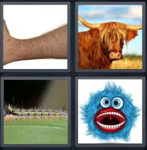 7-letters-answer-hairy