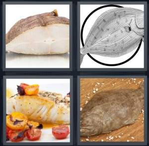 7-letters-answer-halibut