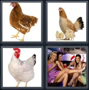 3-letters-answer-hen