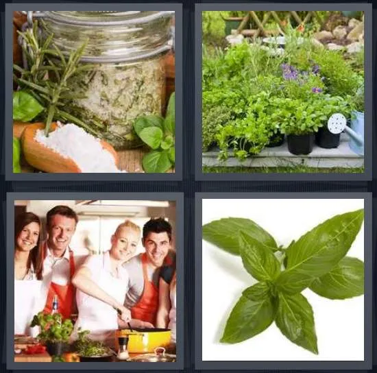 7-letters-answer-herb