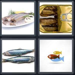 7-letters-answer-herring