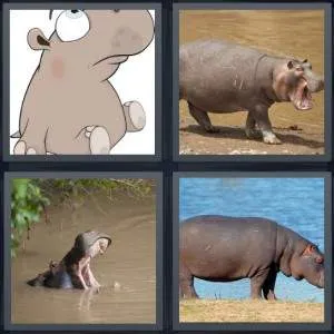 7-letters-answer-hippo