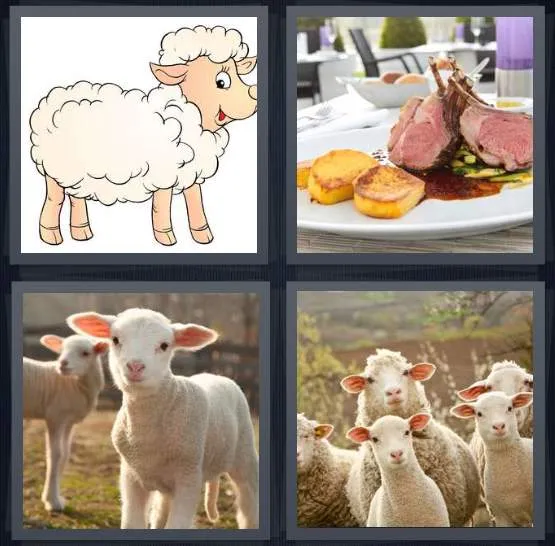 7-letters-answer-lamb