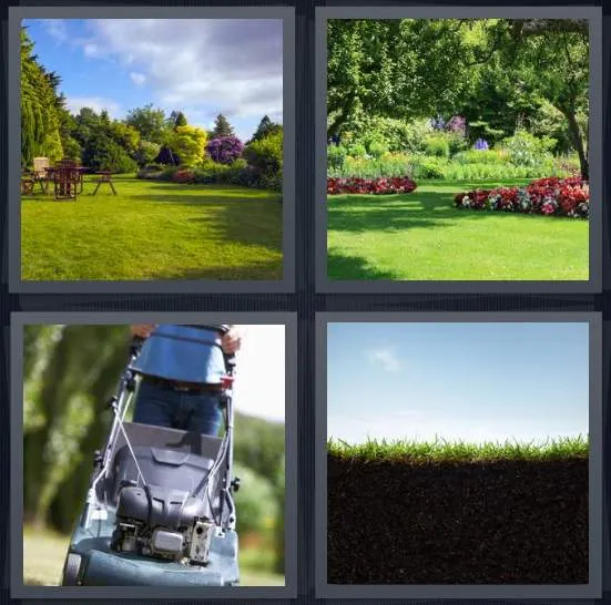 7-letters-answer-lawn
