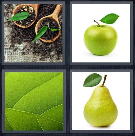 7-letters-answer-leaf