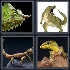 7-letters-answer-lizard