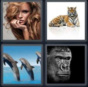 7-letters-answer-mammal