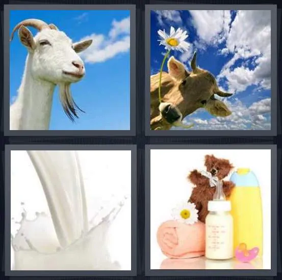7-letters-answer-milk