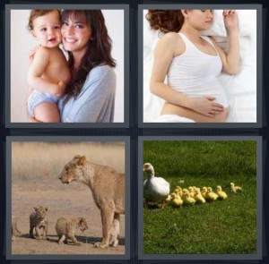 7-letters-answer-mother