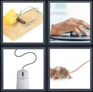 7-letters-answer-mouse