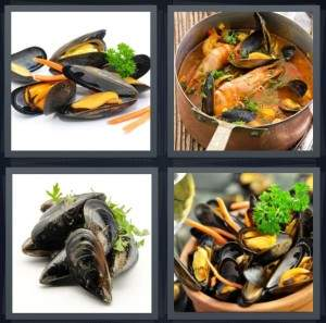 7-letters-answer-mussels