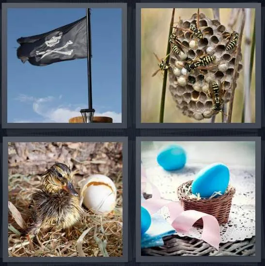 7-letters-answer-nest
