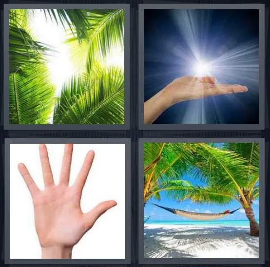 7-letters-answer-palm