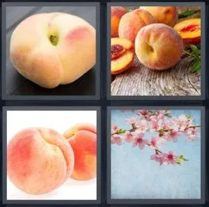 7-letters-answer-peach