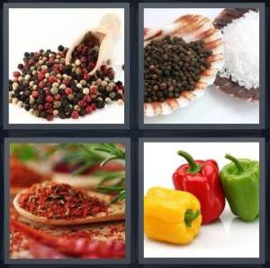 7-letters-answer-pepper