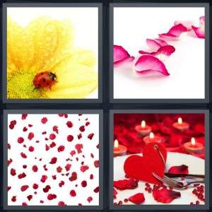7-letters-answer-petals