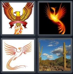 7-letters-answer-phoenix