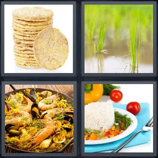 7-letters-answer-rice
