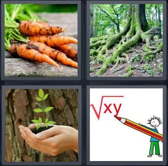 7-letters-answer-root