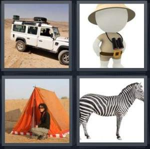 7-letters-answer-safari