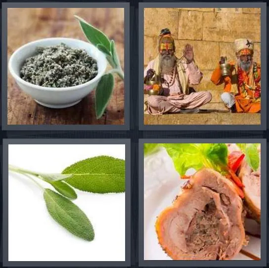 7-letters-answer-sage