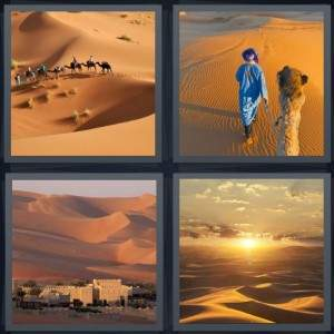 7-letters-answer-sahara