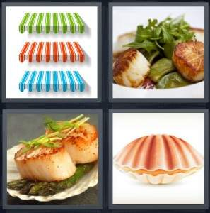 7-letters-answer-scallop