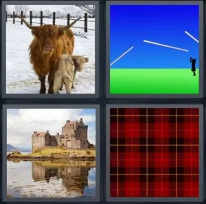 8-letters-answer-scottish