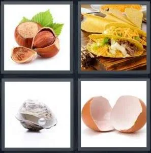 7-letters-answer-shell