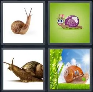 7-letters-answer-snail