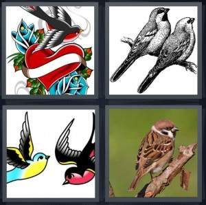 7-letters-answer-sparrow