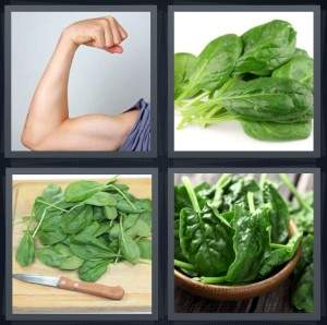7-letters-answer-spinach
