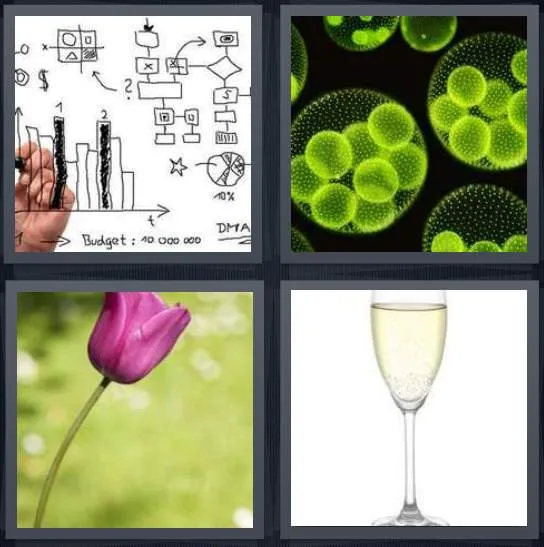 7-letters-answer-stem