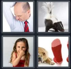7-letters-answer-stink