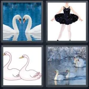 7-letters-answer-swans