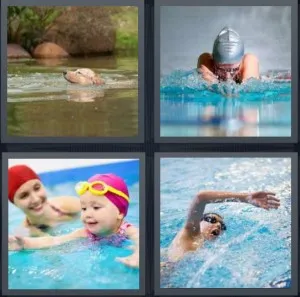 8-letters-answer-swimming