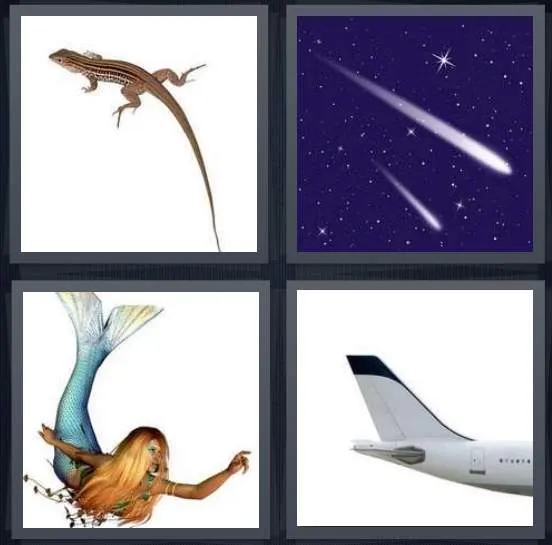 7-letters-answer-tail