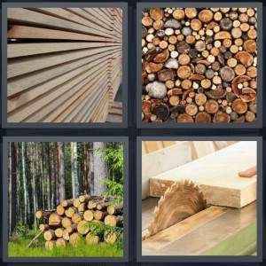 7-letters-answer-timber