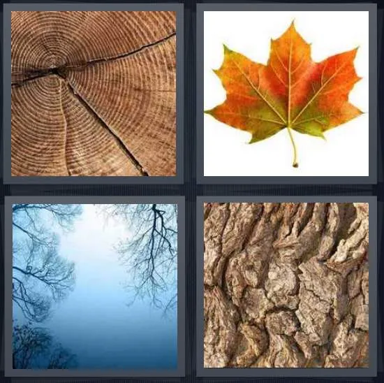 7-letters-answer-tree