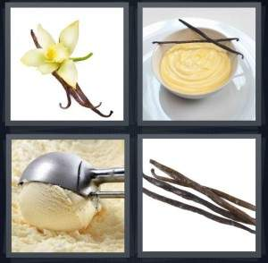 7-letters-answer-vanilla