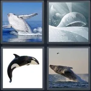 7-letters-answer-whale