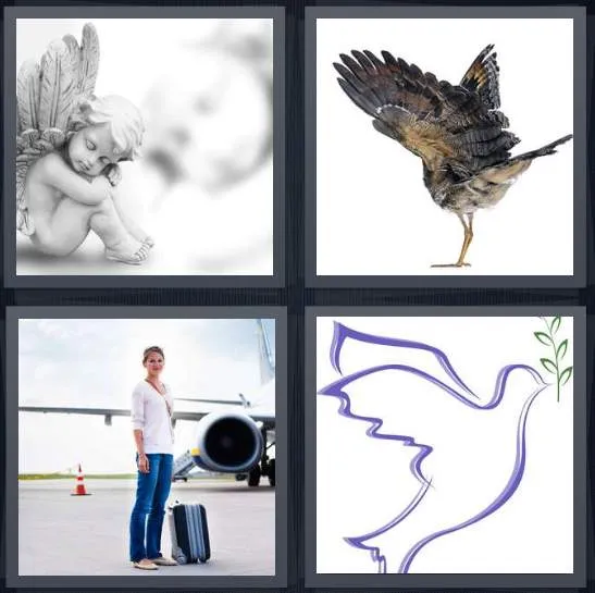 7-letters-answer-wing