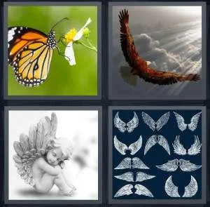 7-letters-answer-wings
