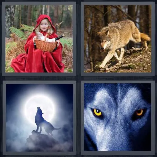 7-letters-answer-wolf